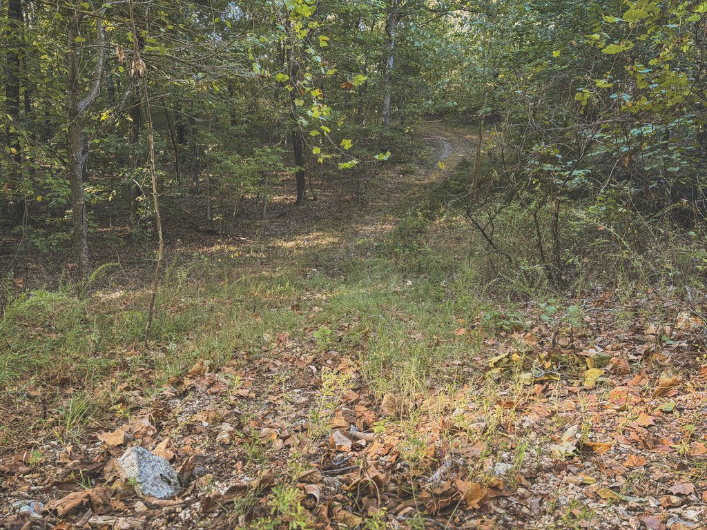 Picture 29