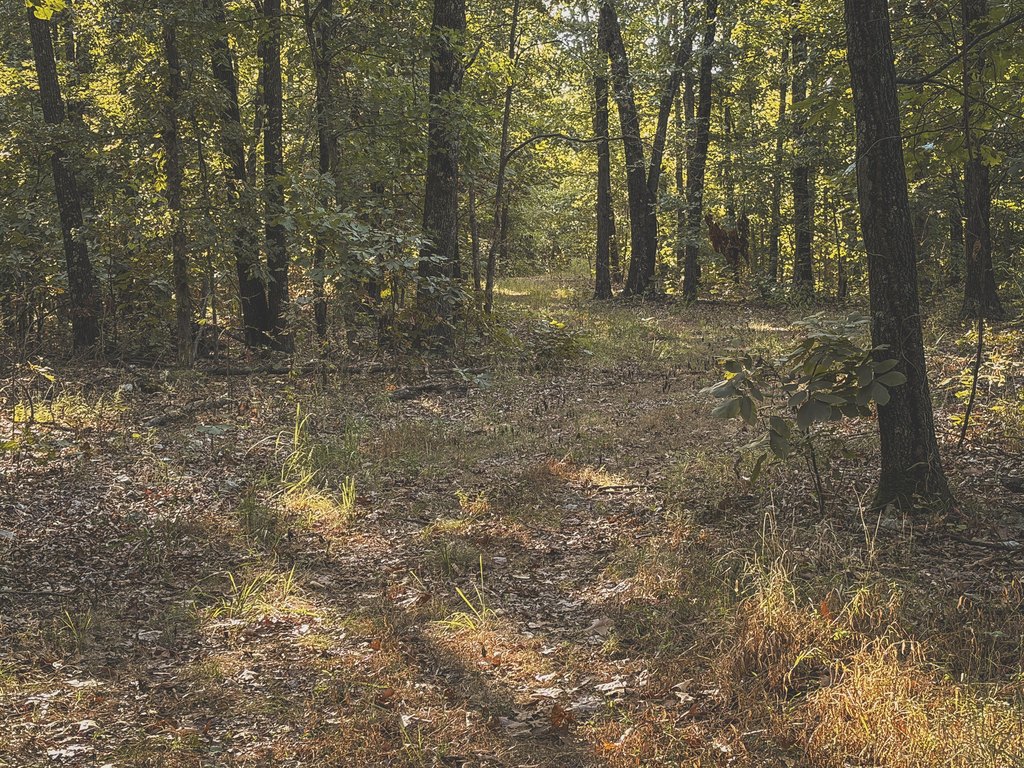 Picture 26