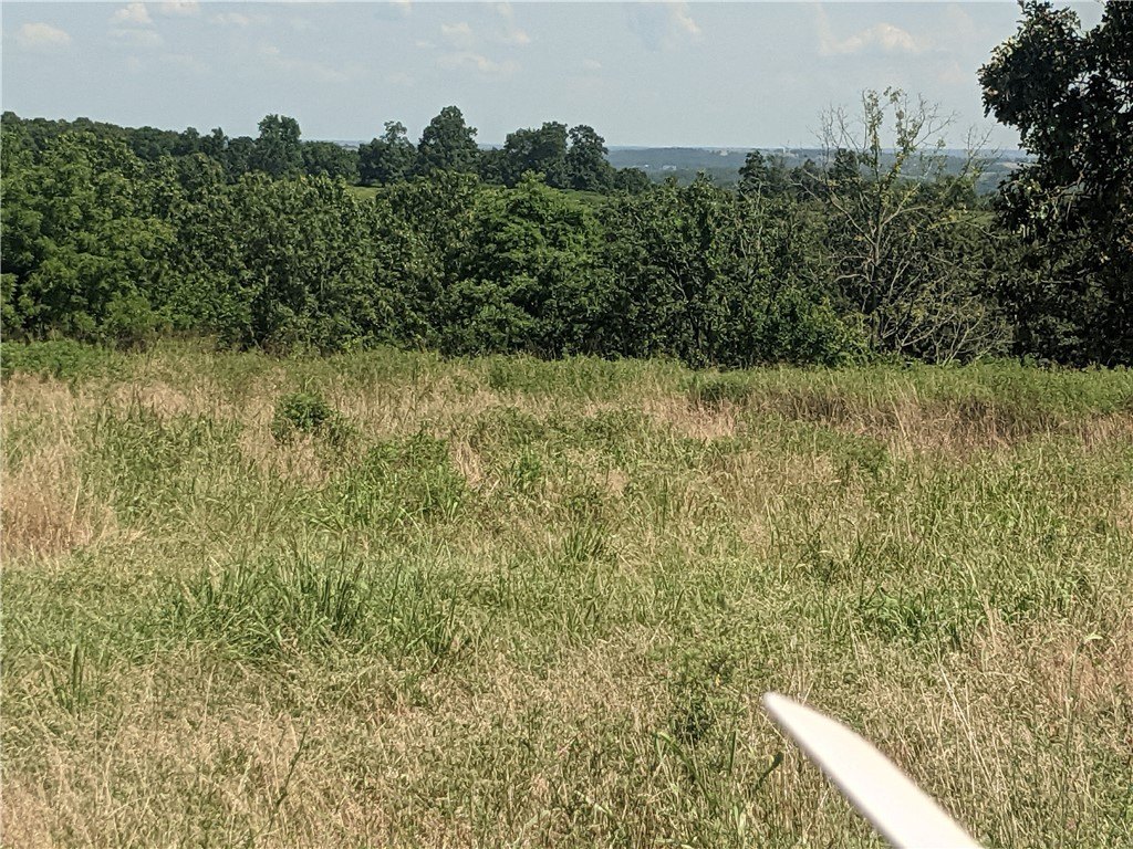 Picture 4