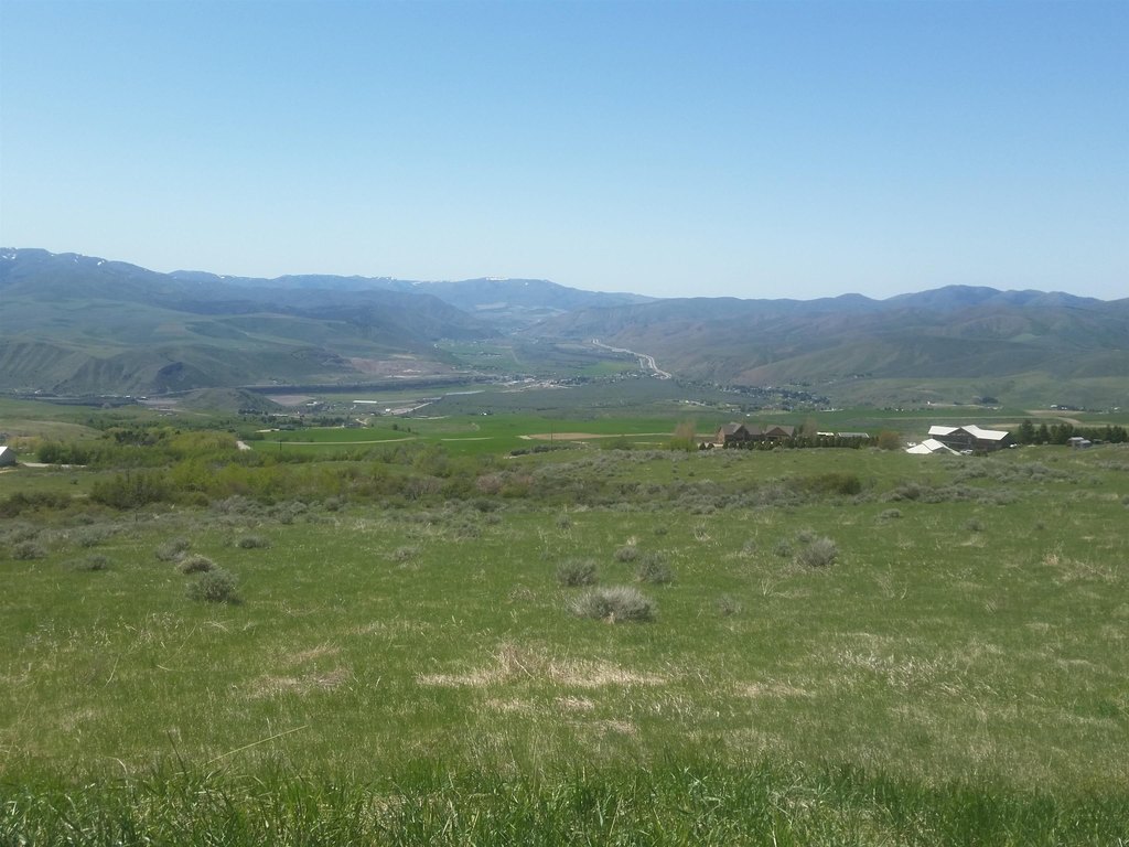 Picture 5