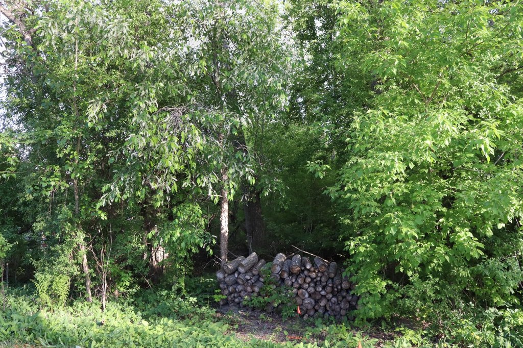 Picture 3