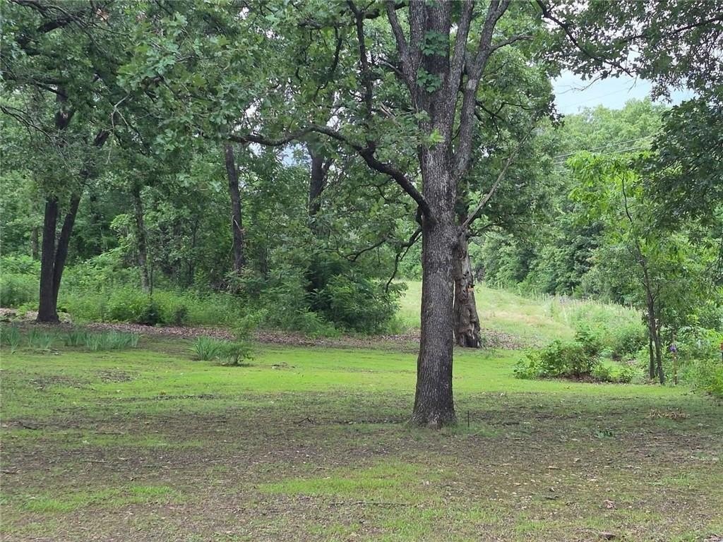 Picture 34