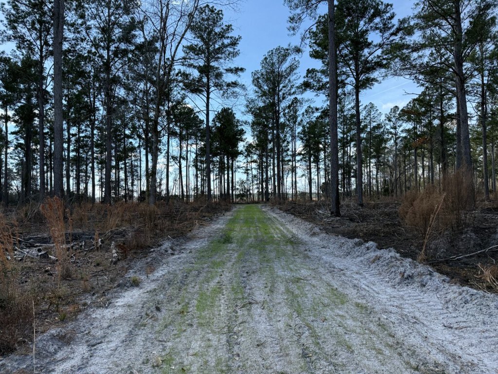 Picture 17