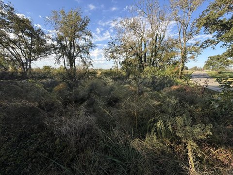 Land, Richmond, KY