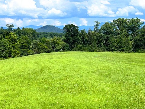 39 Acres Near Cherohala Skyway