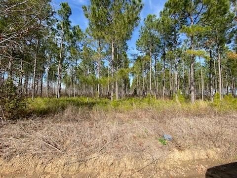 Dothan Land For Sale