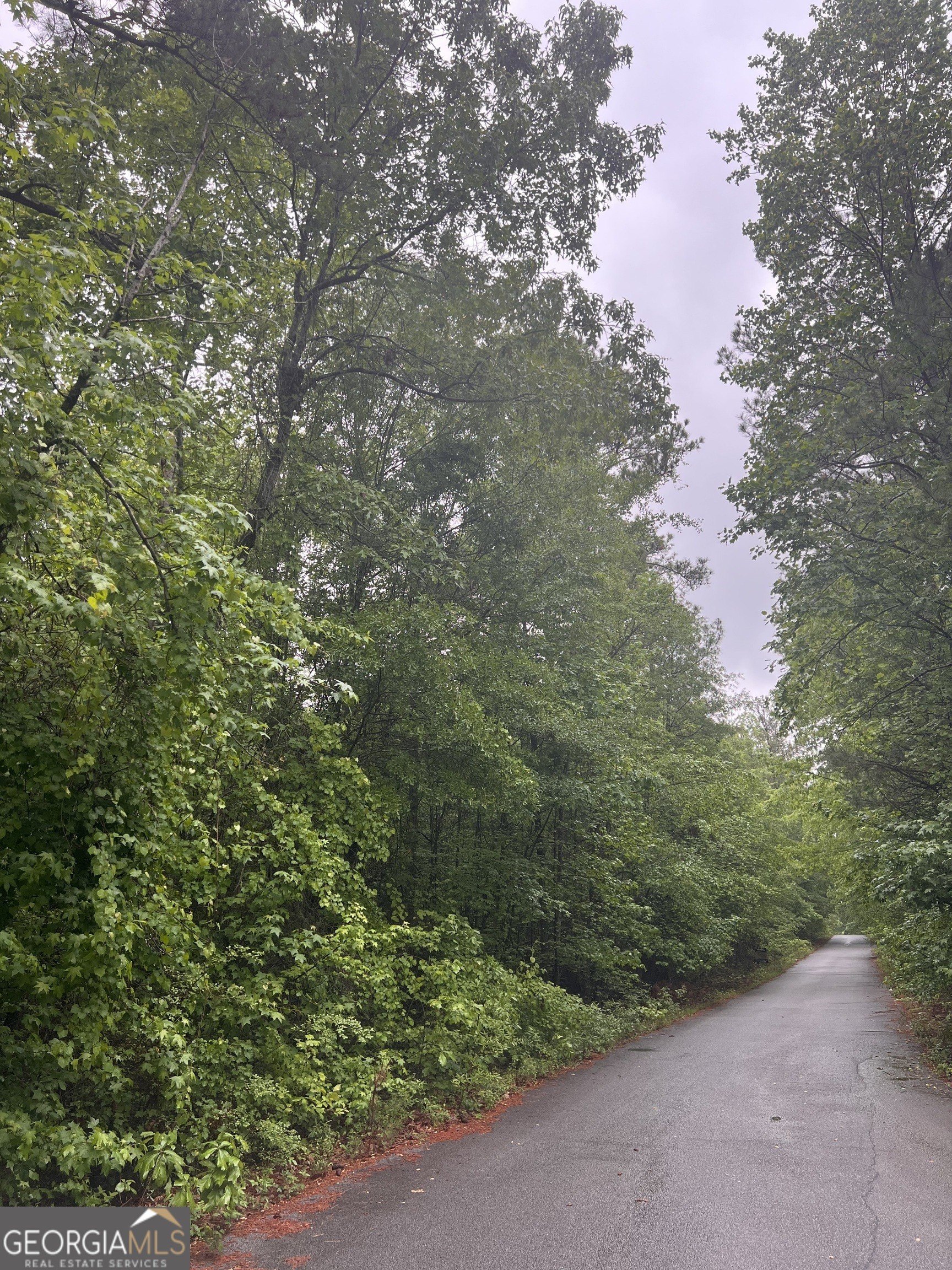 Serene Wooded Lot in Stockbridge