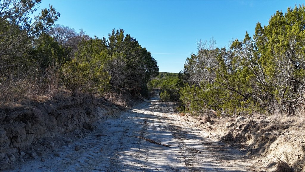 Picture 16