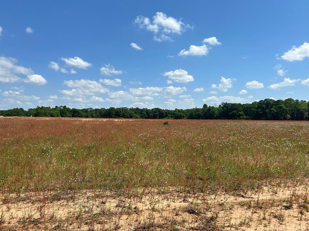 Residential Lot Near Dothan