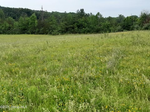 West Coxsackie Land Opportunity