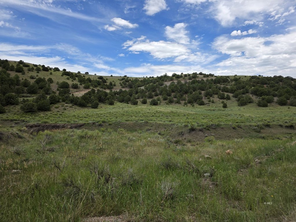 Picture 32
