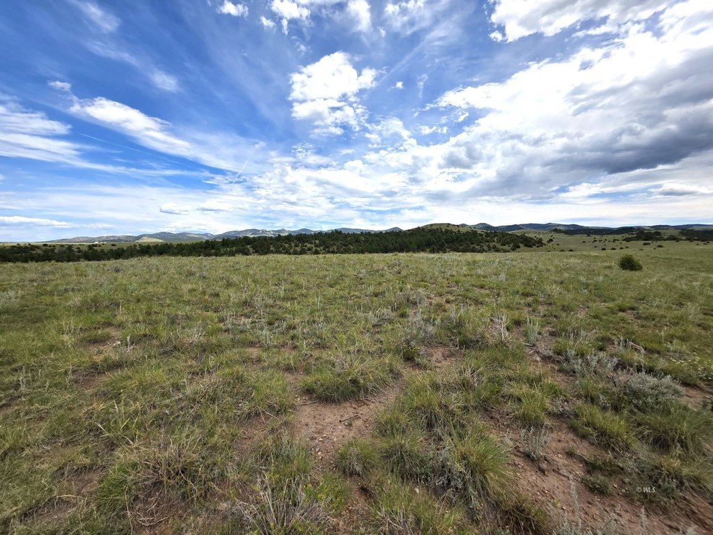 Picture 24