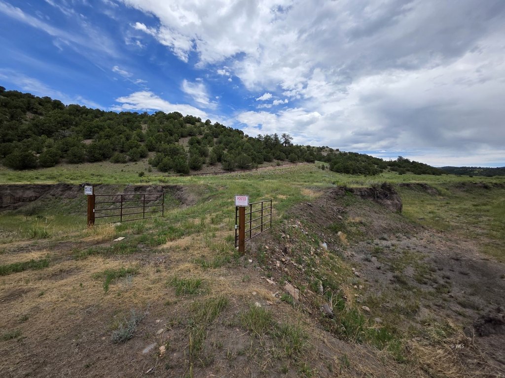Picture 30