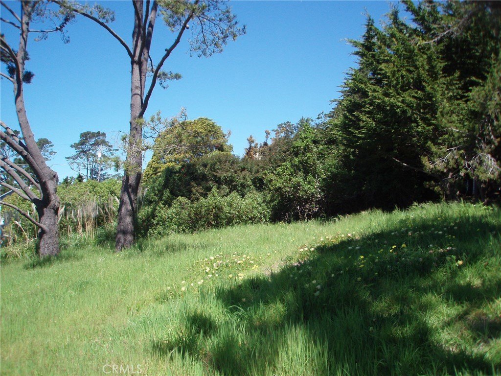 Picture 12