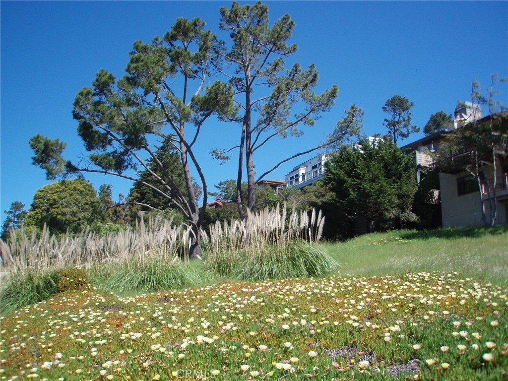 Picture 10