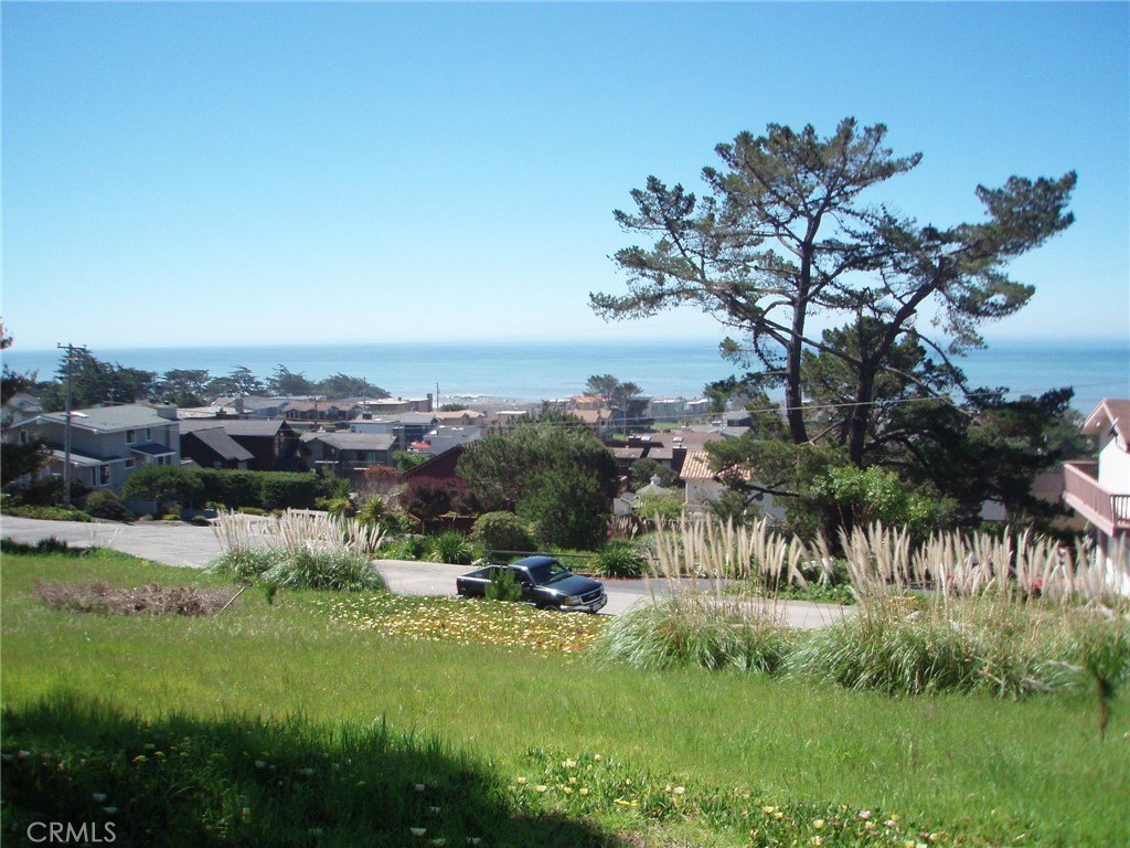 Picture 16
