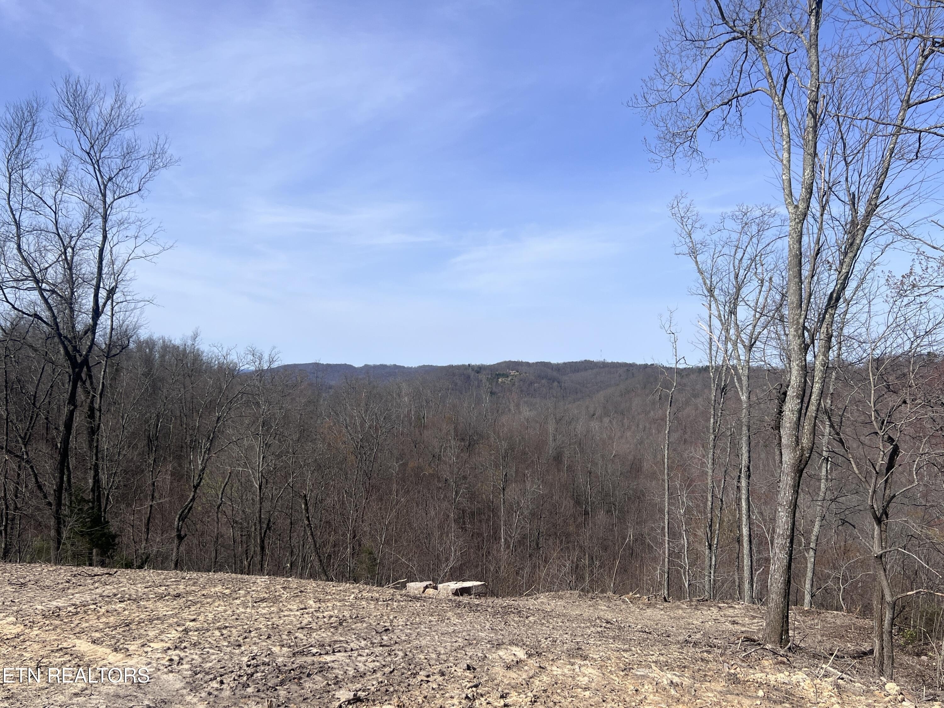 Scenic Land in Jamestown, Tennessee