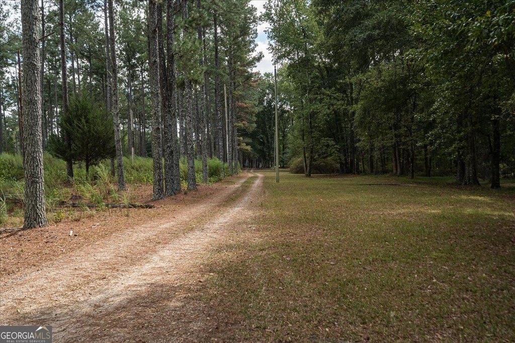 Picture 40