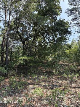 LAND - Chipley, FL