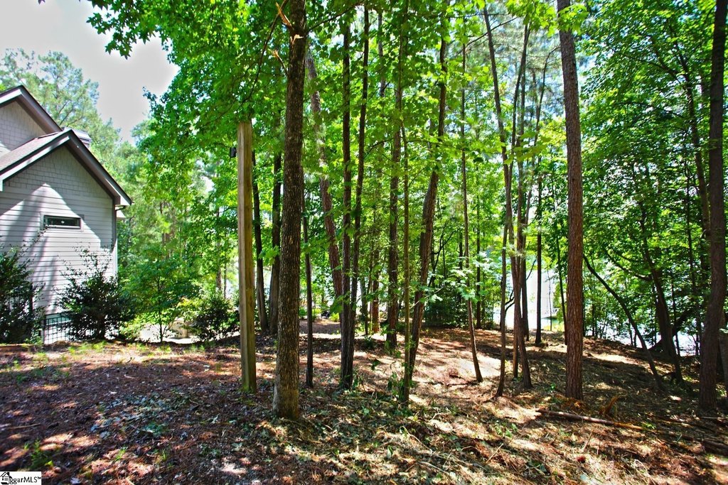 Picture 30