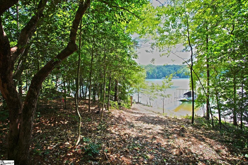 Picture 25