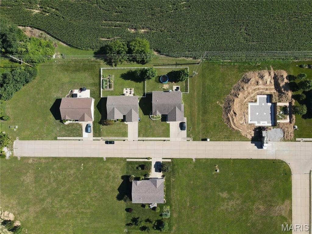 Picture 4