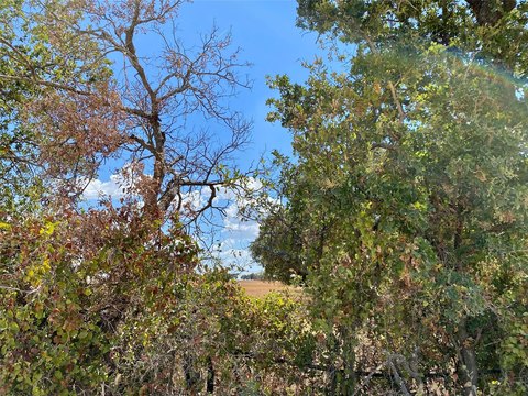 5-Acre Country Living Land