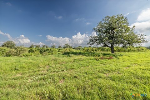 Gonzales, TX Acreage Homesite