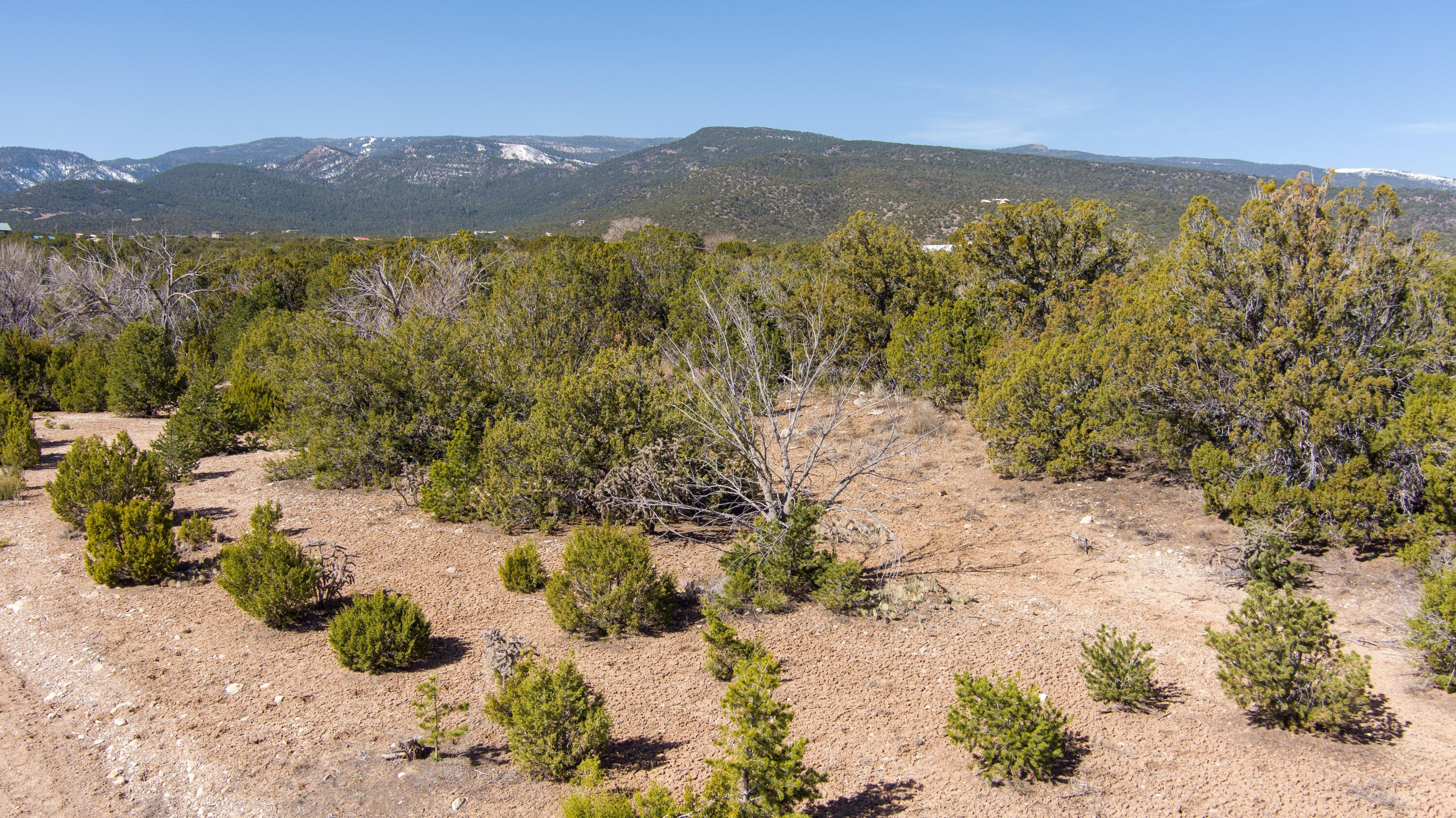 Land in Sandia Park, NM