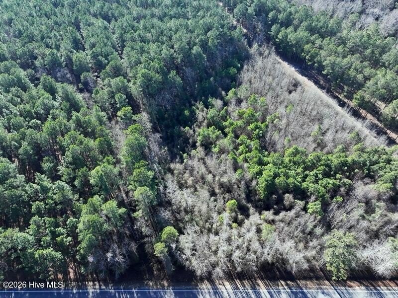 Heavily Wooded Residential Lot