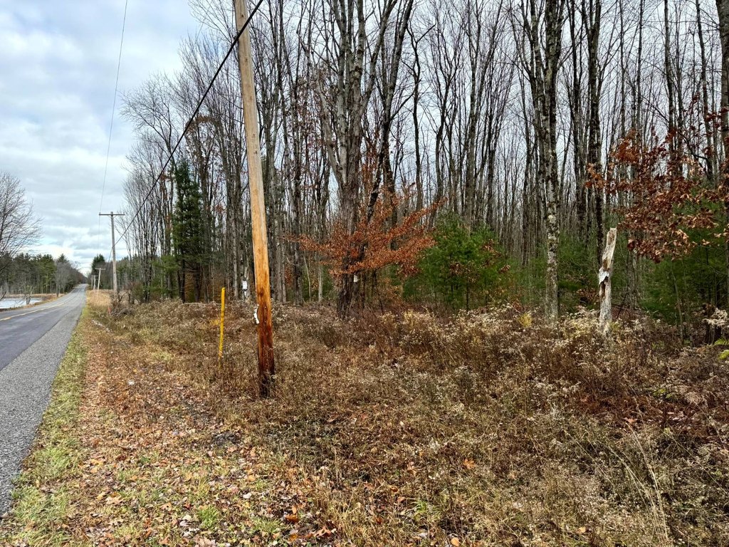 Picture 14