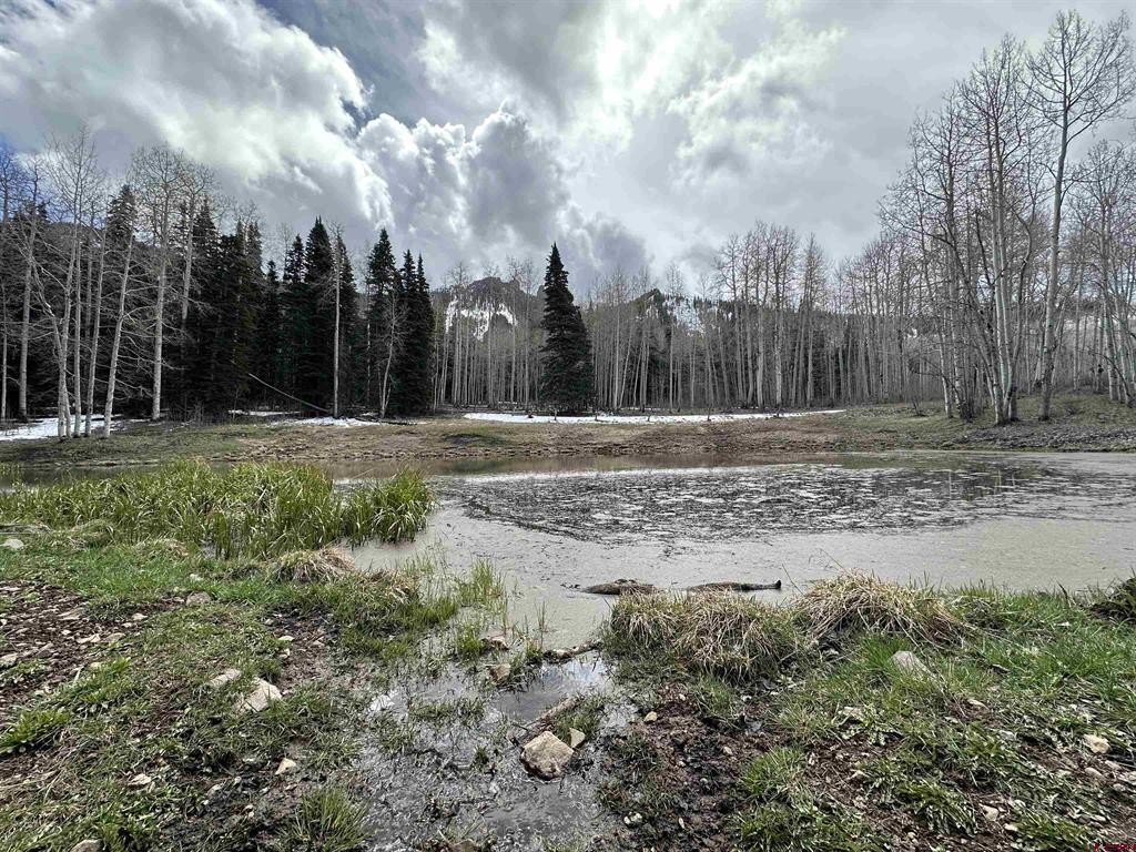 Picture 7