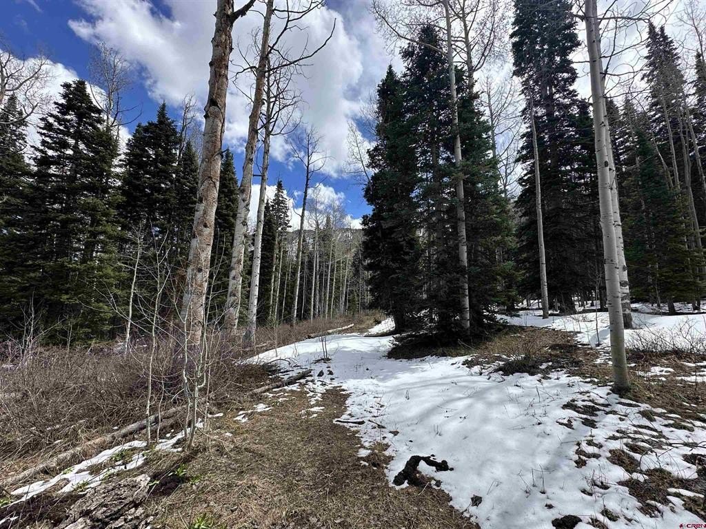 Picture 20