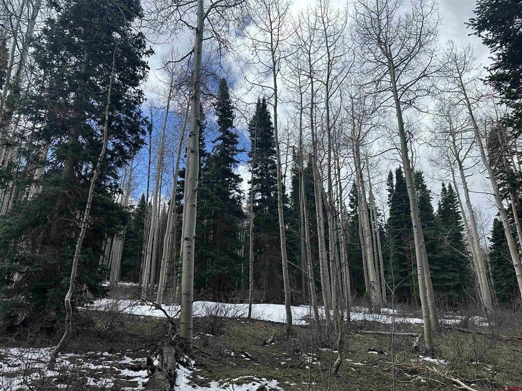 Picture 28