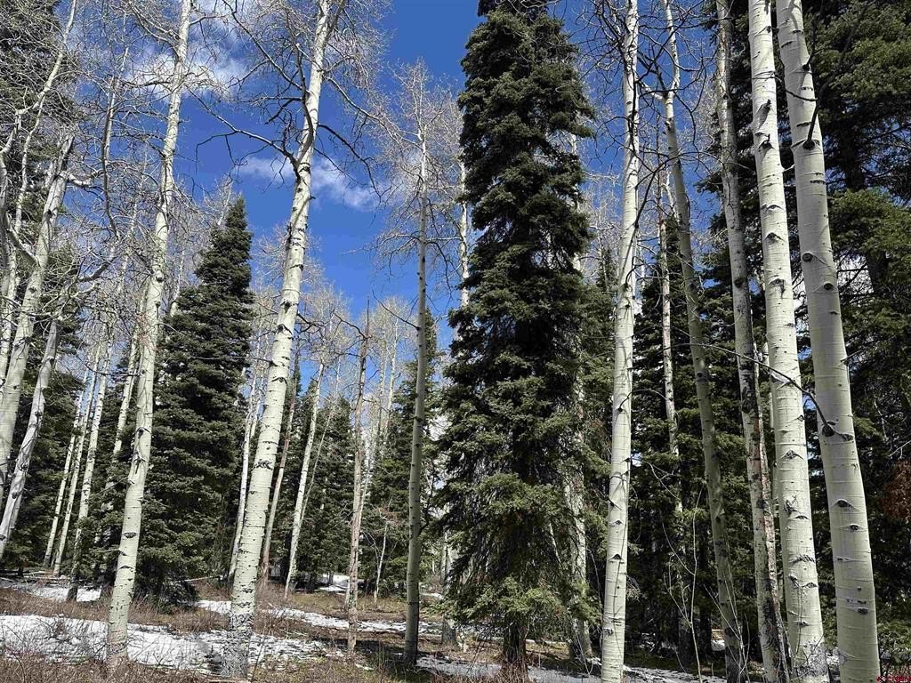 Picture 15