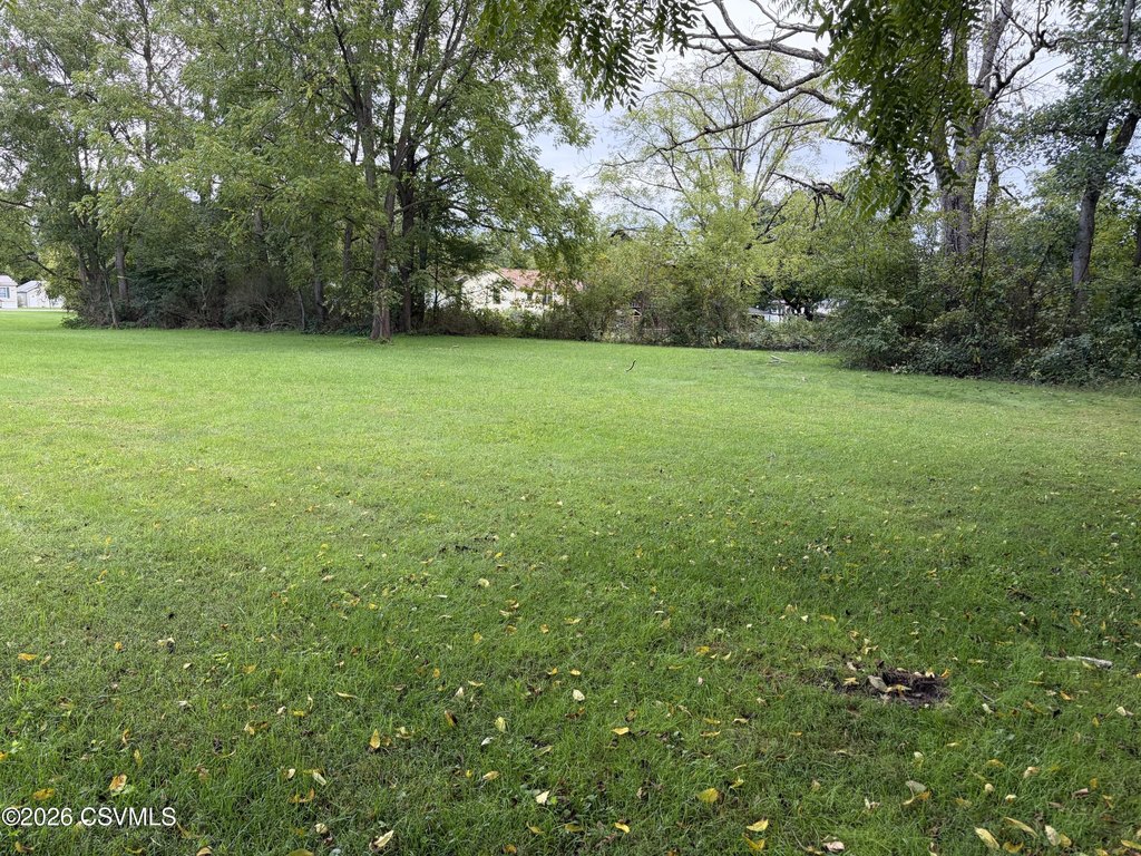Picture 3