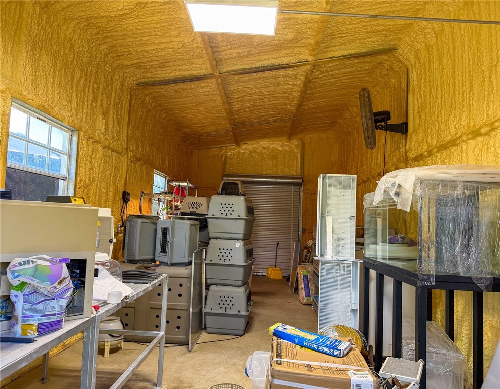 Picture 19