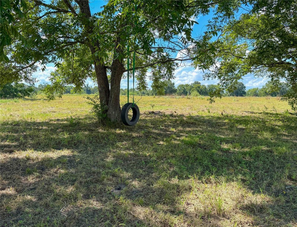 Picture 20