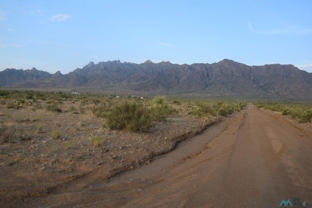 Picture 9