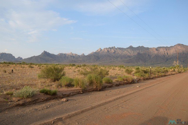 Picture 3
