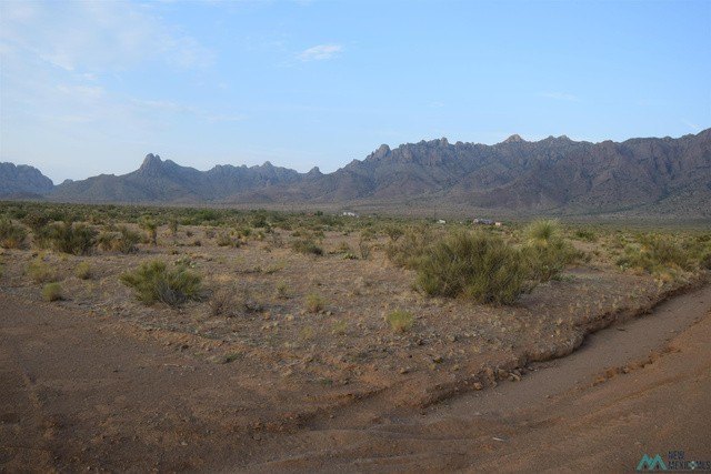 Picture 10