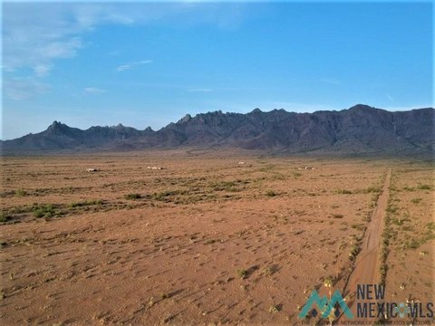 Land, Deming, NM