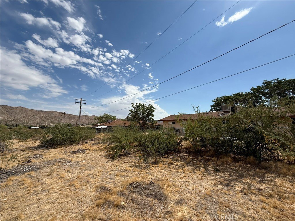 Picture 61