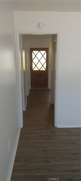 Picture 24