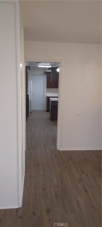 Picture 33