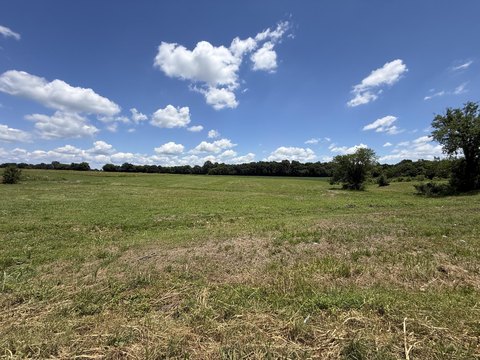LAND - Murray, KY