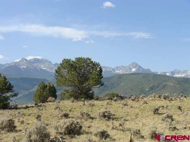 Picture 8