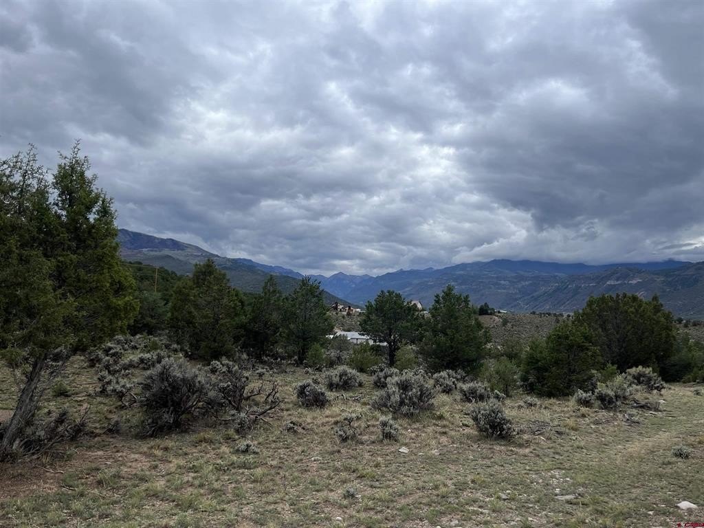 Picture 9
