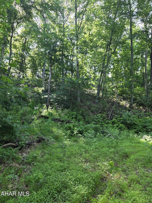 Picture 14