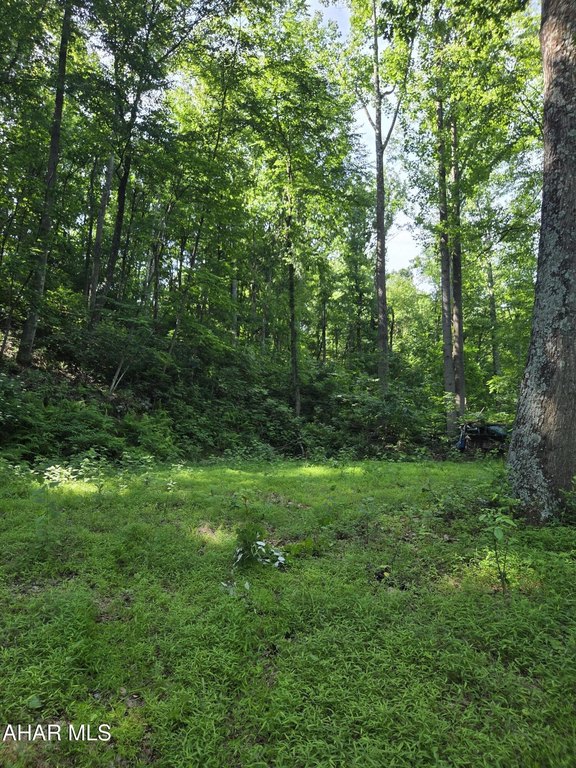 Picture 15